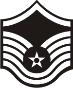 AF E-7 MSGT Master Sergeant (B&W) Decal