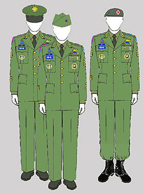 us-uniform-14-2.gif (21238 bytes)